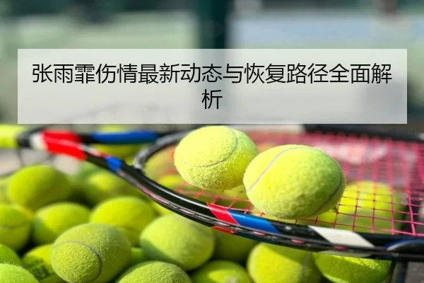 张雨霏伤情最新动态与恢复路径全面解析