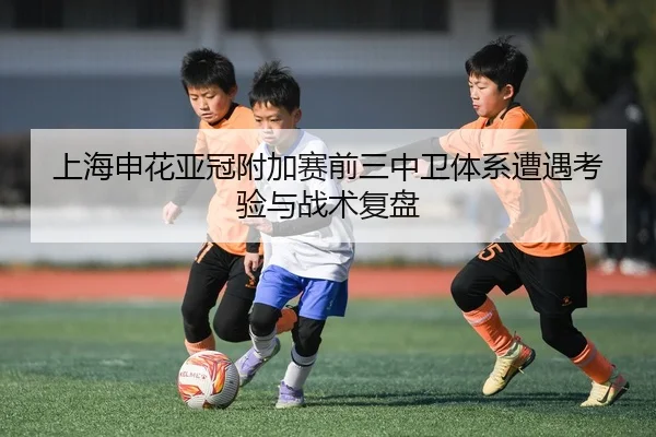 上海申花亚冠附加赛前三中卫体系遭遇考验与战术复盘