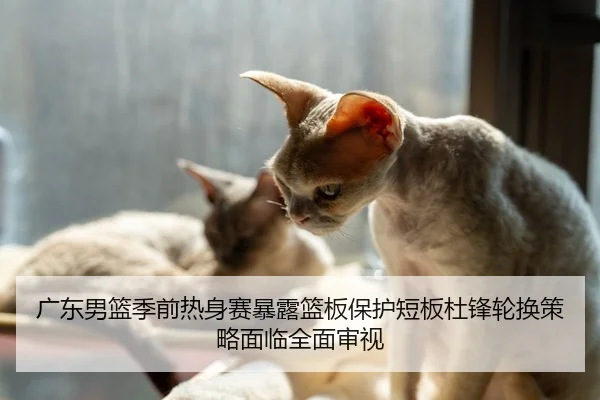 广东男篮季前热身赛暴露篮板保护短板杜锋轮换策略面临全面审视