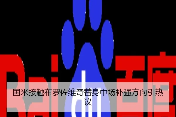 国米接触布罗佐维奇替身中场补强方向引热议